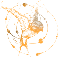 Swift Language Updates